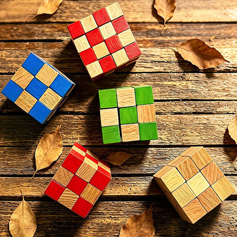 Casse-tête en bois Cube Serpen - Woodworking Game avis et prix